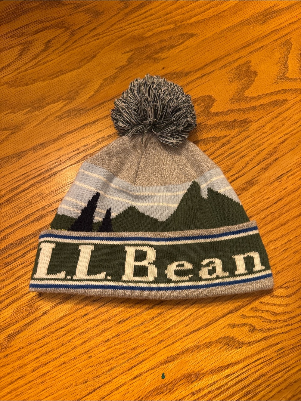 L.L. Bean Toddler Pom Hat